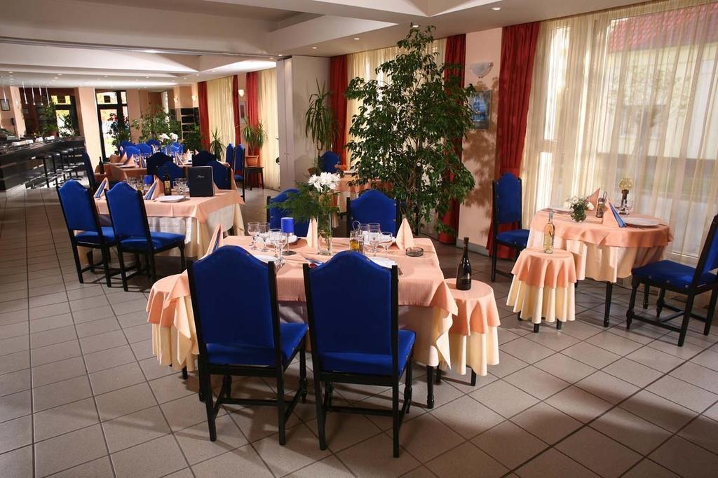 Hotel Reghina Тимишоара Экстерьер фото