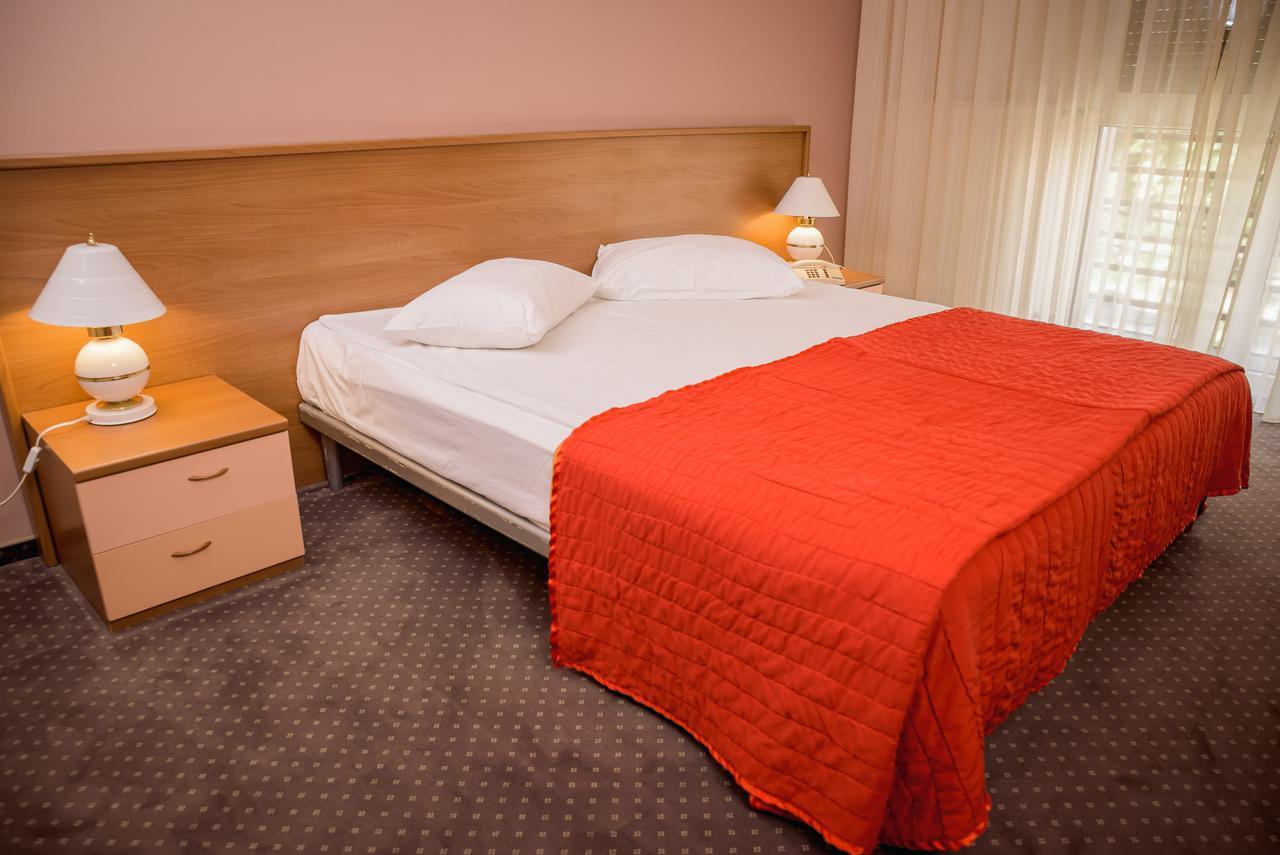 Hotel Reghina Тимишоара Экстерьер фото